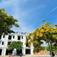 Dự án Khu Nhà Ở Minh An